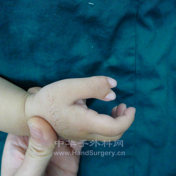P1040411_副本.jpg