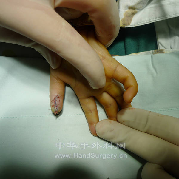 P1040420_副本.jpg