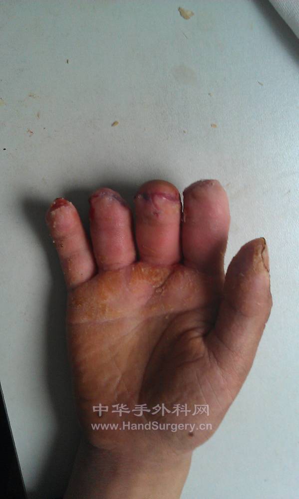 IMAG0137.jpg
