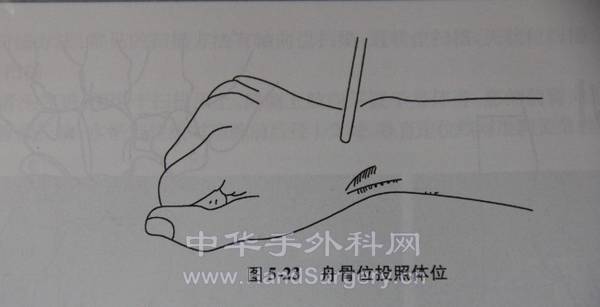 未命名4.jpg