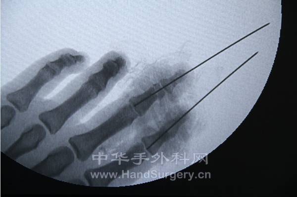 未命名8.jpg