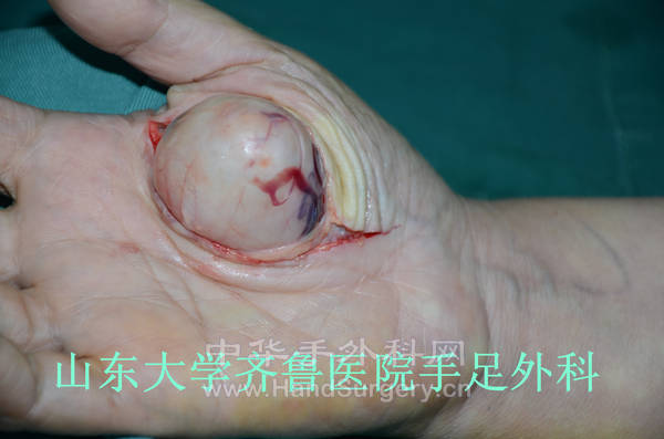 DSC_3330_副本.jpg