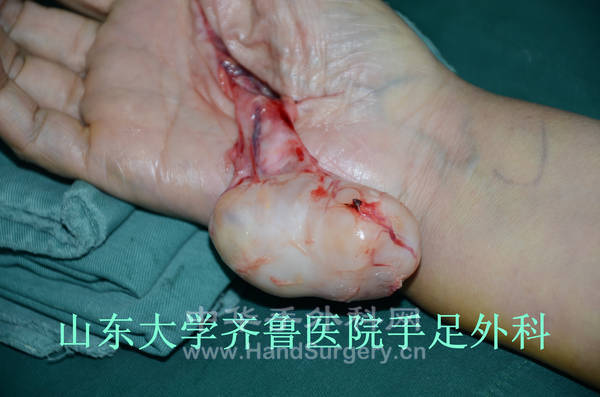 DSC_3334_副本.jpg