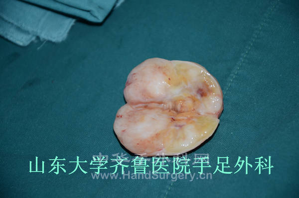 DSC_3357_副本.jpg