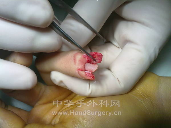 201212061287.jpg
