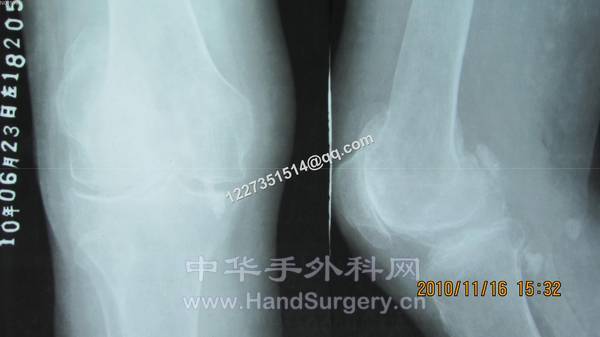 照片 302.jpg