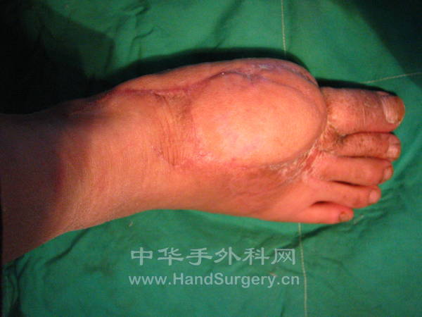 照片 081.jpg