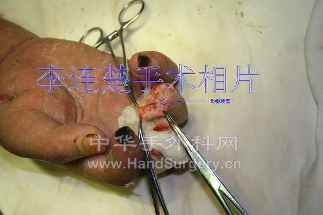 照片 221.jpg