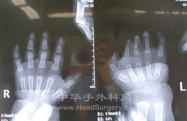 P1040985_副本.jpg