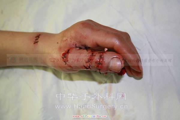 照片 497.jpg