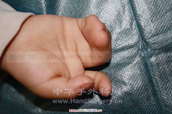 照片 059.jpg