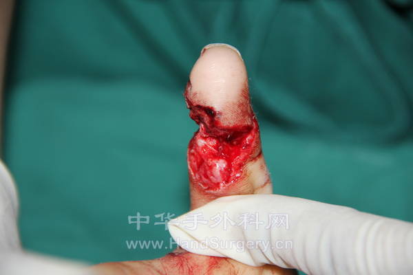 IMG_1963_调整大小.JPG
