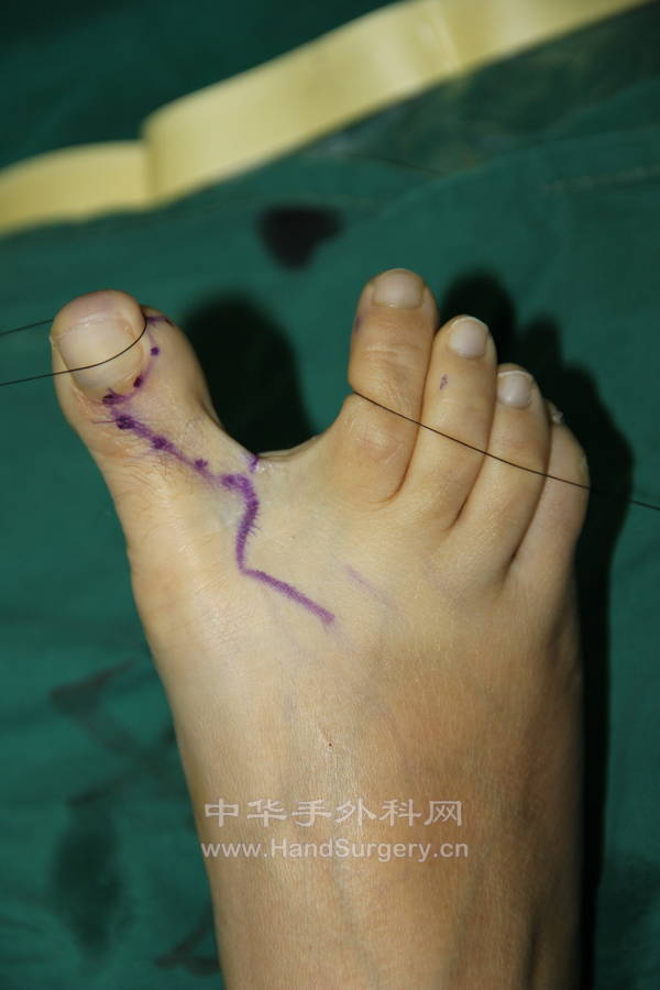 IMG_2025_调整大小.JPG