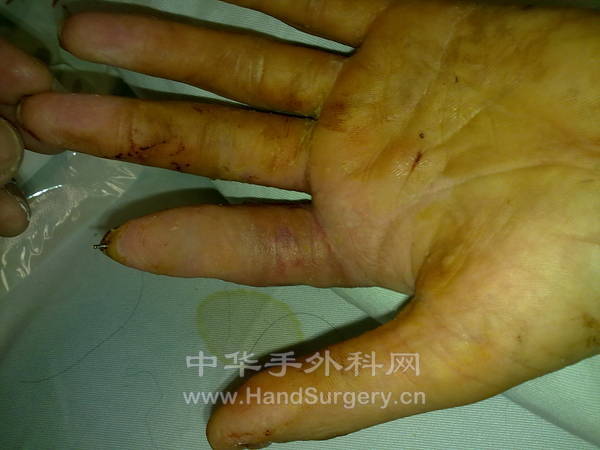 20130106190.jpg