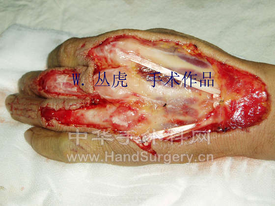 P1010031 拷贝.jpg
