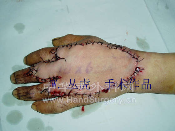 P1120175 拷贝.jpg