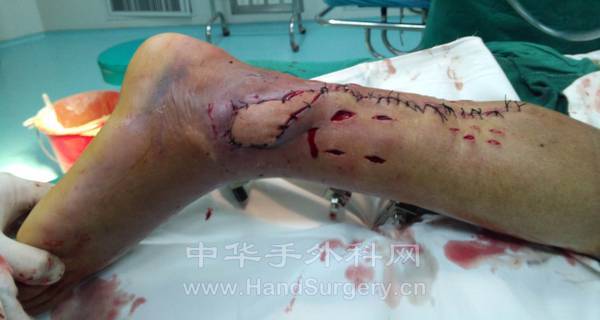 IMG_20120727_162127.jpg