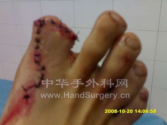 D20102008817.jpg