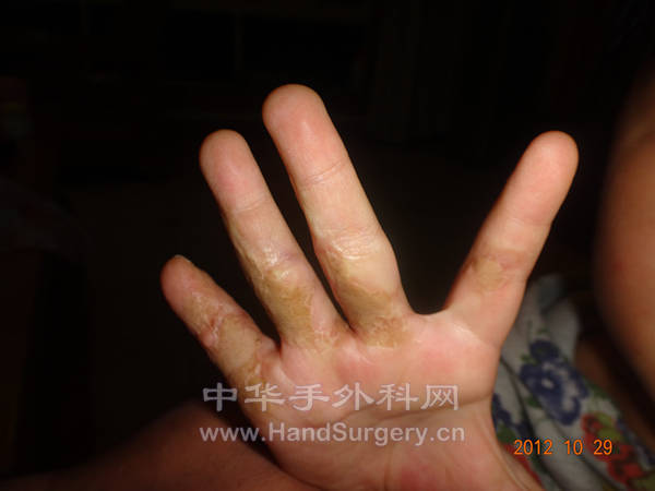 DSC00465_副本.jpg