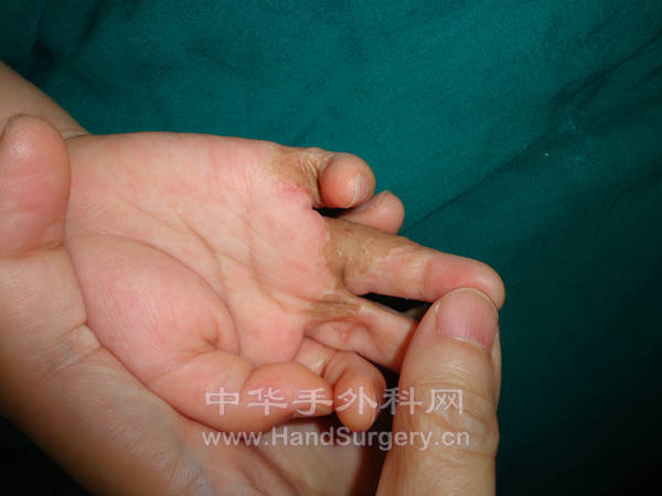DSC03672_副本.jpg