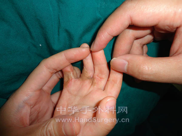 DSC03674_副本.jpg