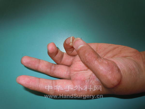 照片 142.jpg