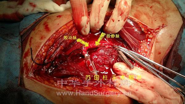 复件 201110301697.jpg