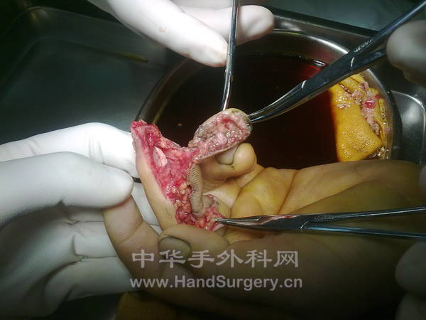 201212101350.jpg