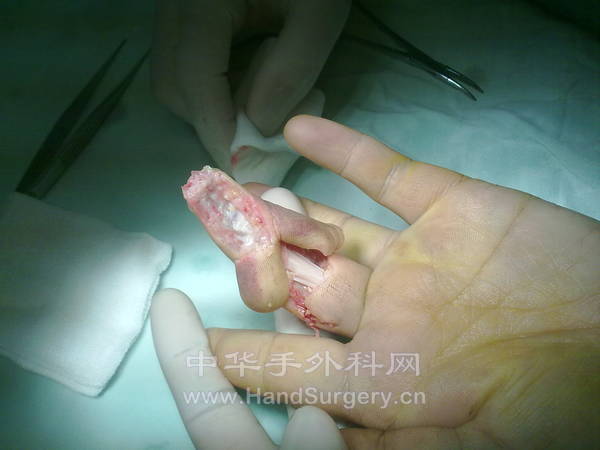 201212101352.jpg