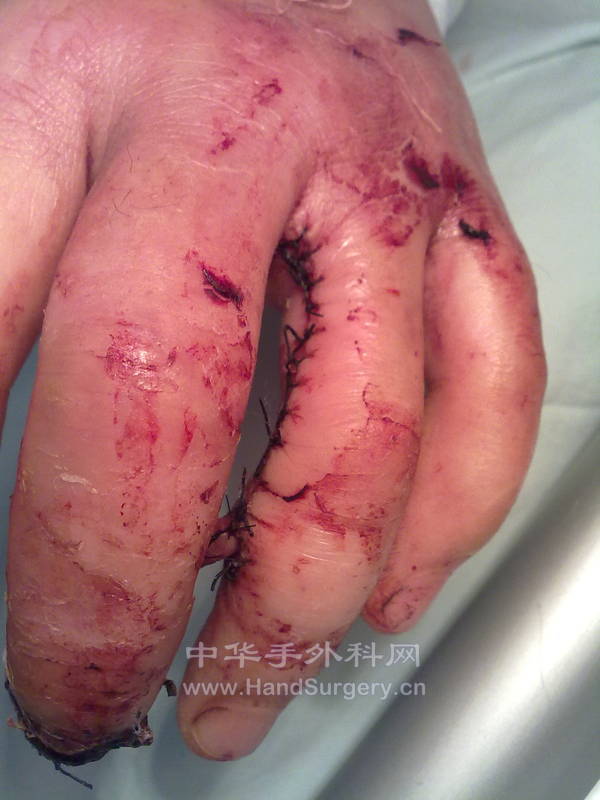 20130103102.jpg