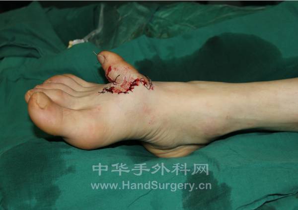 QQ截图20130206212722.png