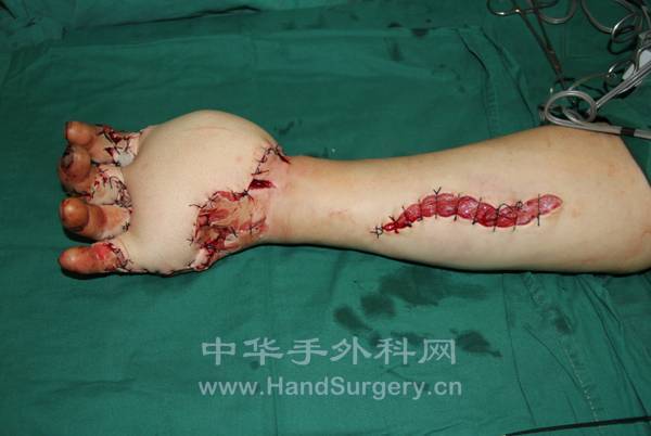 QQ截图20130206212734.png