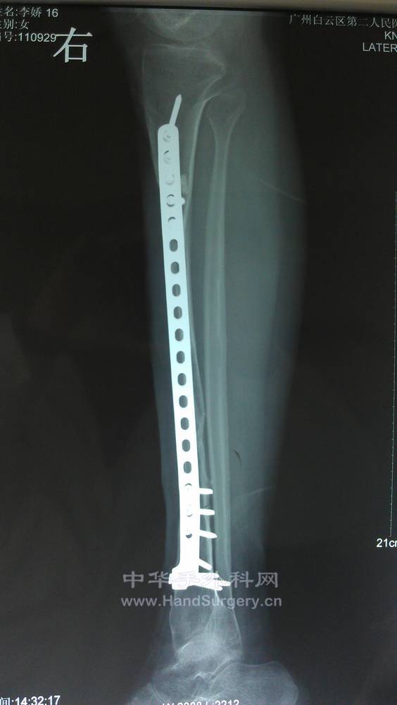 IMAG0178.jpg