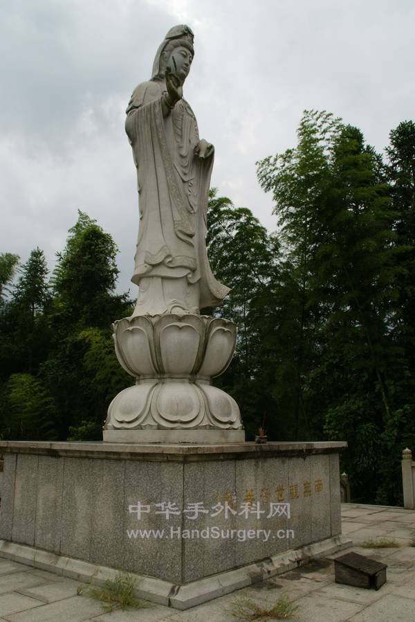 DSC00172.JPG