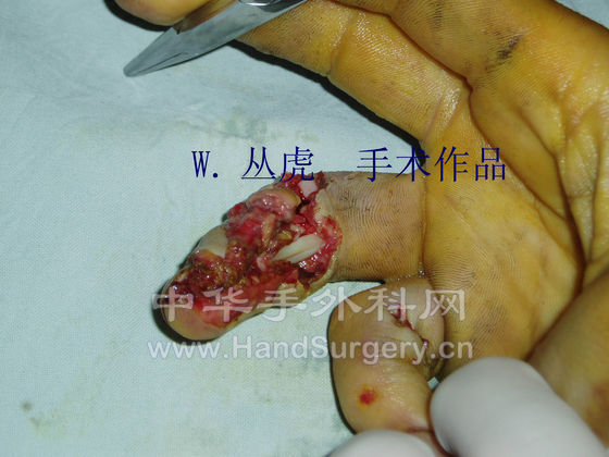 P1010043 拷贝.jpg