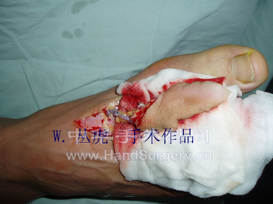 P1010080 拷贝.jpg