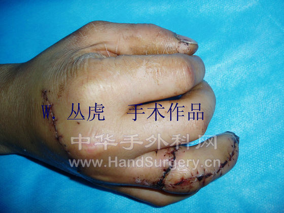 P1190231 拷贝.jpg