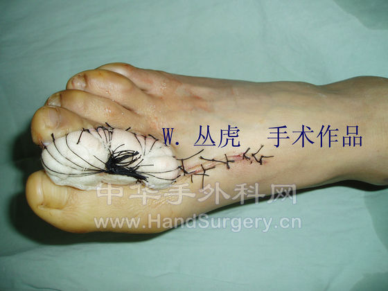 P1010094 拷贝.jpg