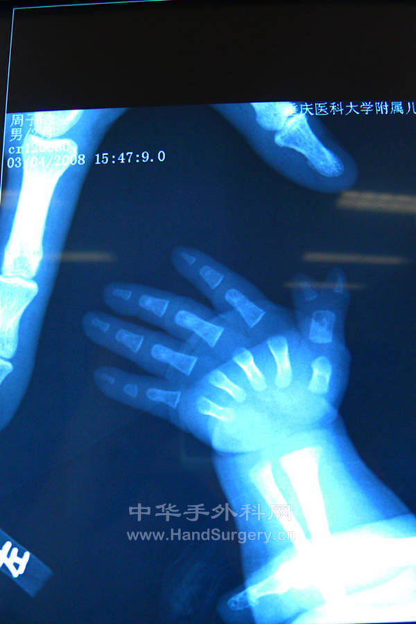 P1020719_副本.jpg