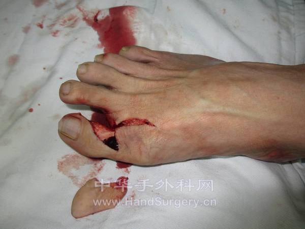 图片5.jpg