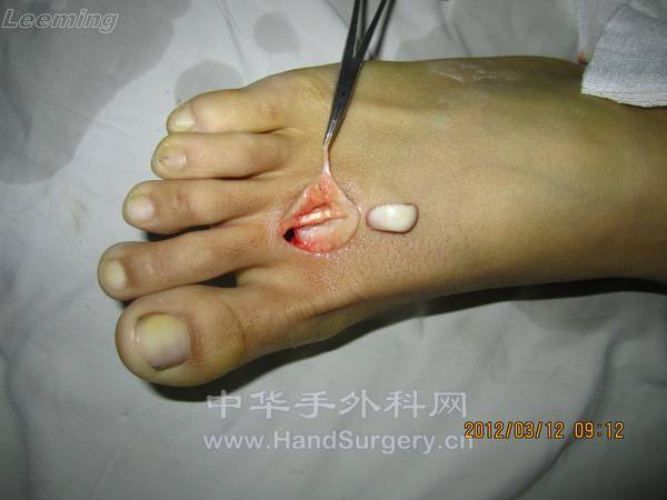 照片 037.jpg