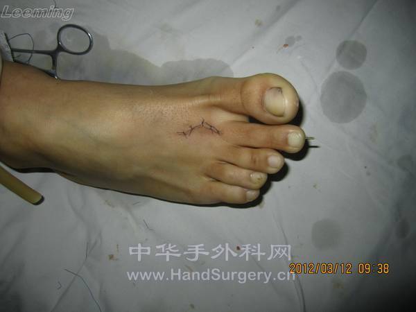 照片 038.jpg