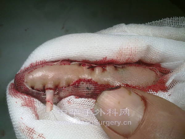 20130115246.jpg