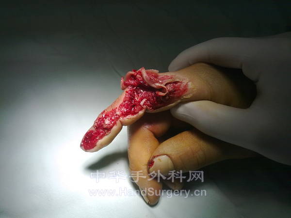 20130115234.jpg