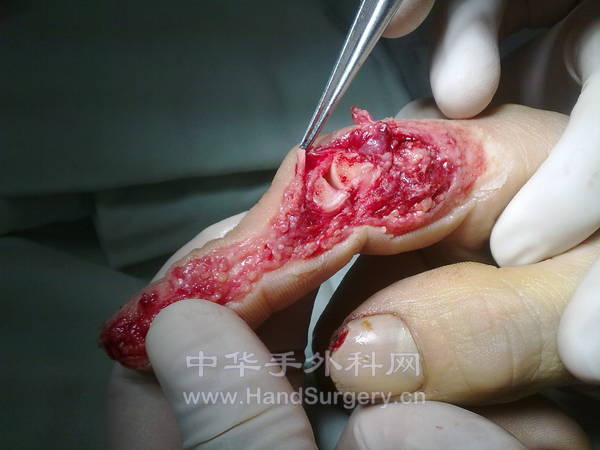 20130115235.jpg