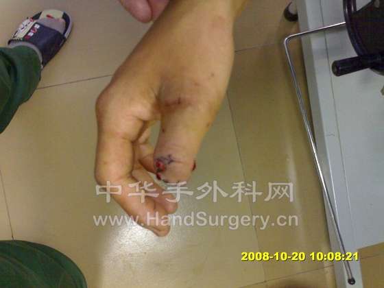 D20102008801.jpg
