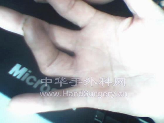 图片 003.jpg