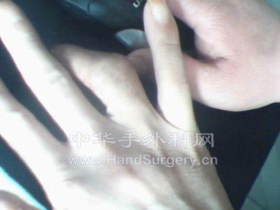 图片 004.jpg