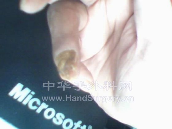 图片 005.jpg