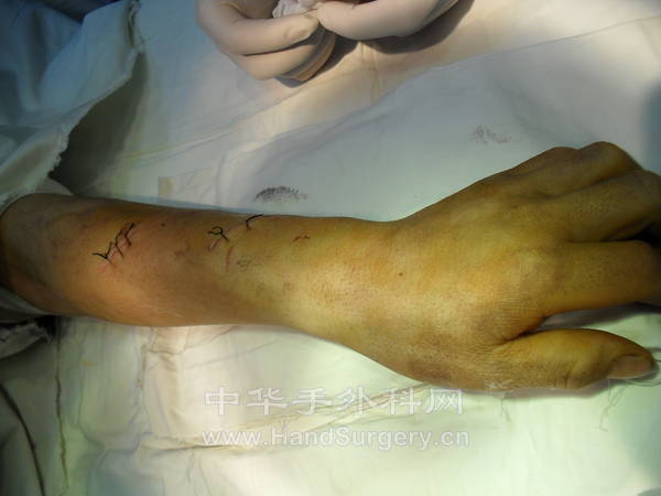 SDC10339.JPG